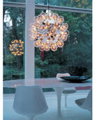 FLOS-Taraxacum 88/S1