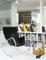 Innolux-Swan - bild 2