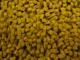 Hay-Matches - bild 3