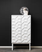 A2-Collect Cabinet 2011