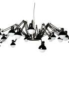 Moooi-Dear Ingo