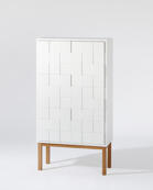 A2-Collect Cabinet 2010